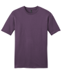 DT6000 Eggplant