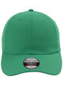 X210P Green