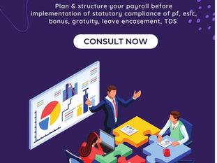 Unlocking Payroll Consultant Company for Seamless Business Growth