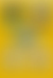 ー東日本大震災支援企画ー満天の星展Ⅷ