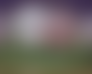 ー新春特別企画ー生き物譚 Ⅲ