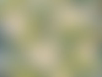 花満開の時展Ⅲ