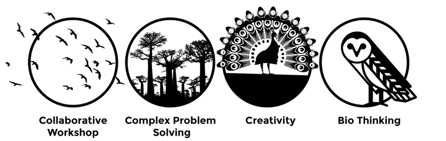 AlchemyLab_banner1 (2).png