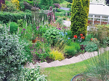 Hybrid-Gardens-early-summer-flowers-June