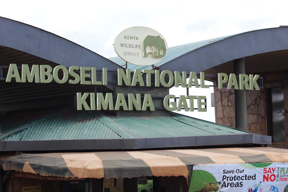 Llegada a Amboseli National Park