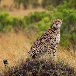 Detrás de mi cámara de mi viaje a Kenia: un testimonio fotográfico.