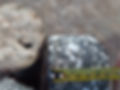IMG-20201026-WA0011.jpg
