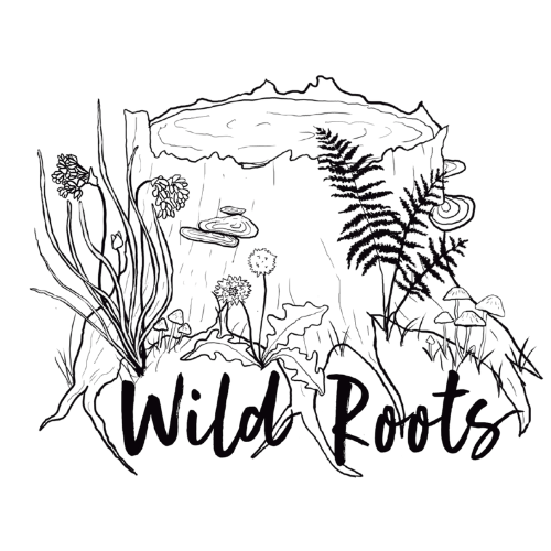 https://wildrootsnbl.com/