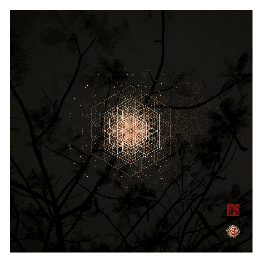 Winter Sound Alchemy with Medicinal Mushrooms @Trip Space