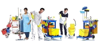 servicios excelentes
