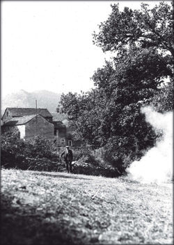c12