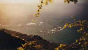 South Bay Serenity: Your Guide to Fall Hikes and Hillside Landscapes