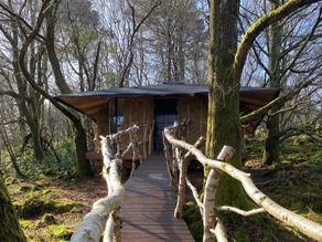 Craving a Shamanic Spiritual Break in Dublin? We've got Just the Right Place!