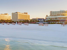 Meditate with Wolves and Much More on Florida's Paradise Coast