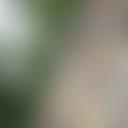 ITTN Joins Global Media for Launch of Expedition Kissimmee FAM