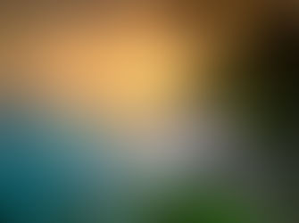 Fly Direct from Dublin to Barbados with Aer Lingus!