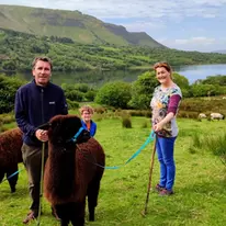Glencar Alpacas - The Most Adorable Adventure in Leitrim