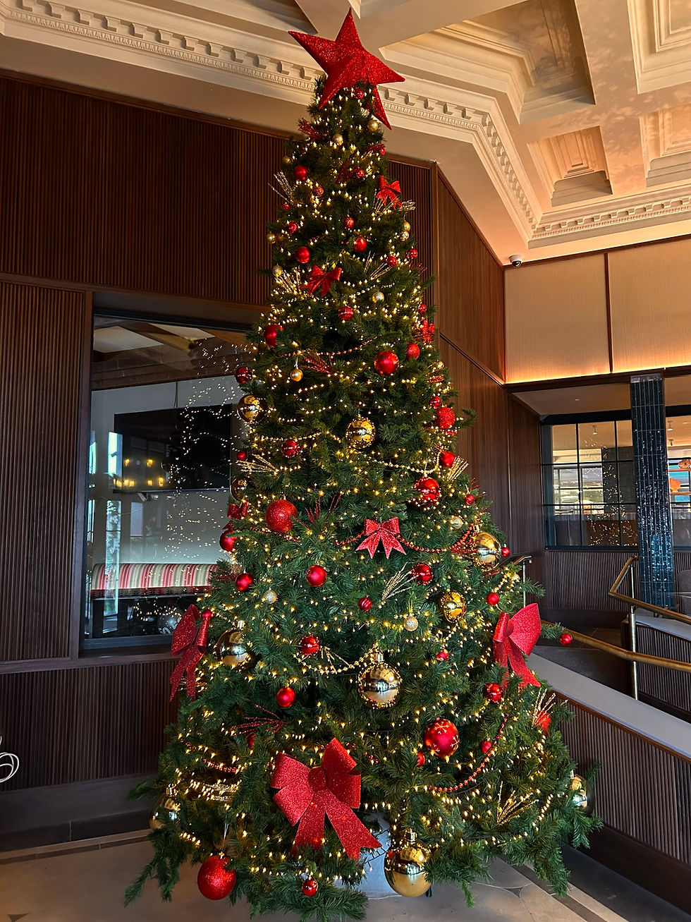 Festive Nights and Christmas Delights at Mount Errigal Hotel