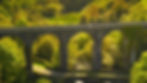 ree