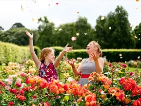 Free Fun for All Ages at Dublin City Council St. Anne’s Park Rose Festival 2025