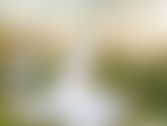 Twixmas & Beyond - A New Year Reset at Fitzpatrick Castle Hotel