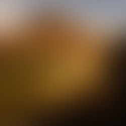 What's on This Weekend - Friday to Sunday 17th-19th of April