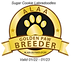 Sugar Cookie GOLDEN PAW 2022.png
