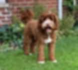 IMG_4807.jpeg