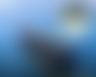 Voyager Marine Solutions Achieves Tōtika Accreditation