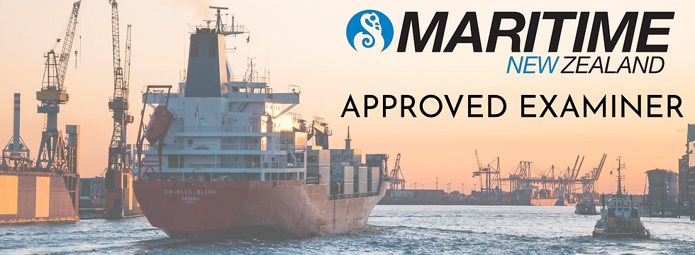 Maritime New Zealand (MNZ) is the national regulatory, compliance, and response agency overseeing maritime safety, licensing, security, and environmental protection in New Zealand