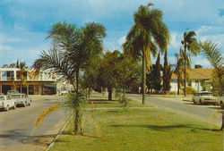 Theodore Shopping Strip