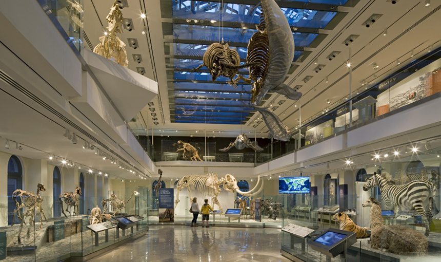 Natural History Museum of LA