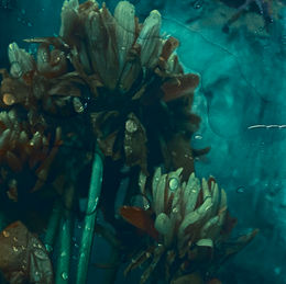 image 3 tamara water.jpg