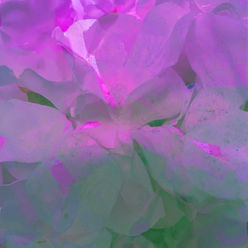 image 7 pipilotti.jpg