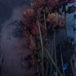 image 5 tamara water.jpg