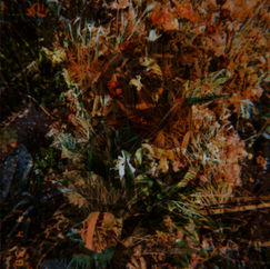 flowers regent image 11.jpg