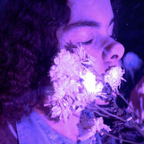 coloured lights final image 16.jpg