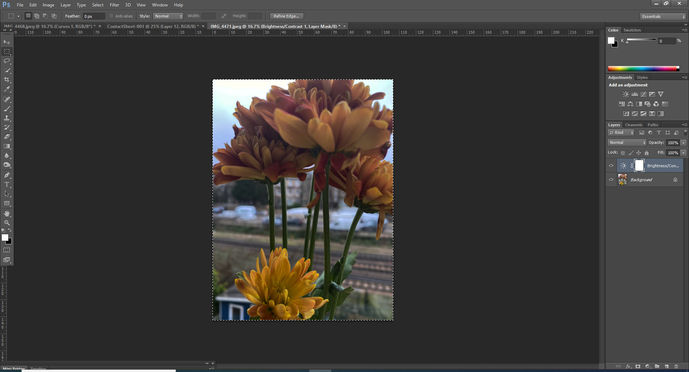 process log ss peter weiss 2.jpg