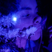 coloured lights final image 23.jpg