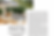 Screen Shot 2023-11-26 at 2.02.34 PM.png