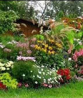 pm jardinera.jpg
