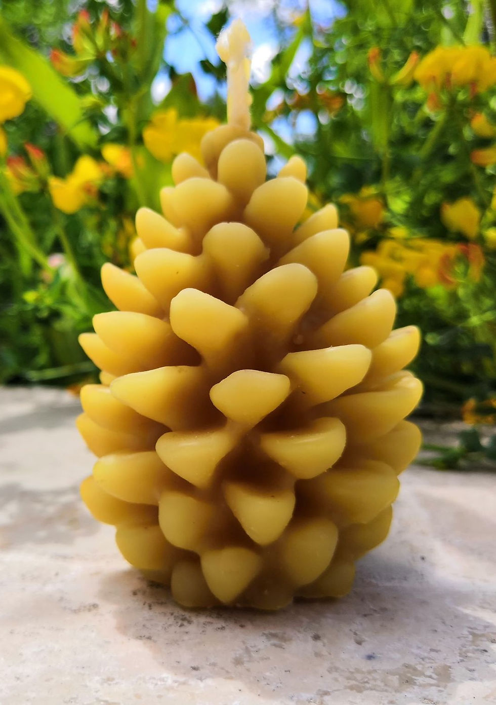 Miniature : Pomme de pin