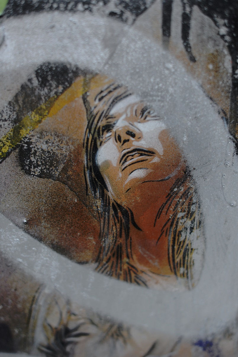 Artist: Christian Guémy aka C215