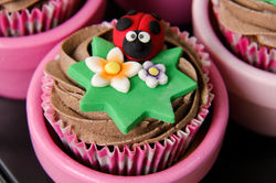 Cupcake Joaninha