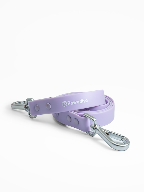 Thumbnail: Collar & Leash - Lilac
