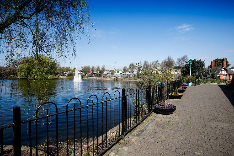 Blessington Street Basin