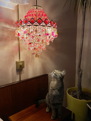 IMG_0957.jpeg