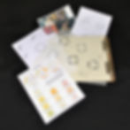 HealthLink Partners/LabTrust