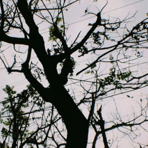 IMG_4187.PNG