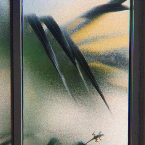 IMG_3195.PNG
